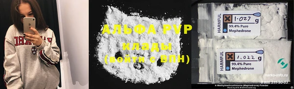 прущие грибы Абаза