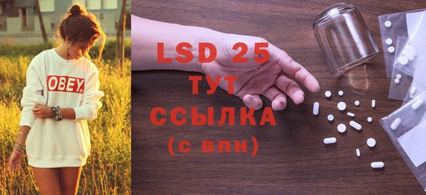 прущие грибы Абаза