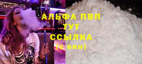 прущие грибы Абаза