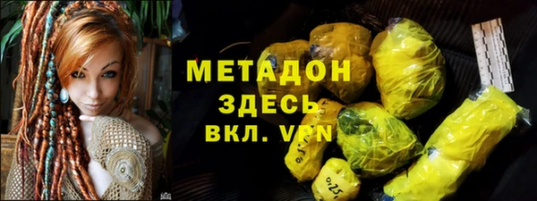 прущие грибы Абаза