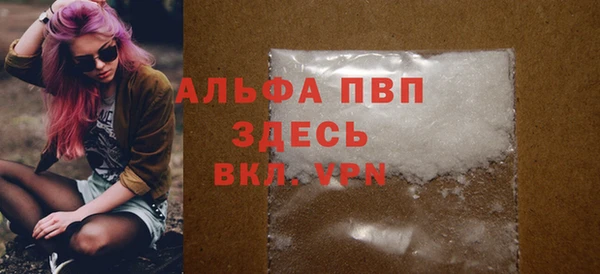 прущие грибы Абаза