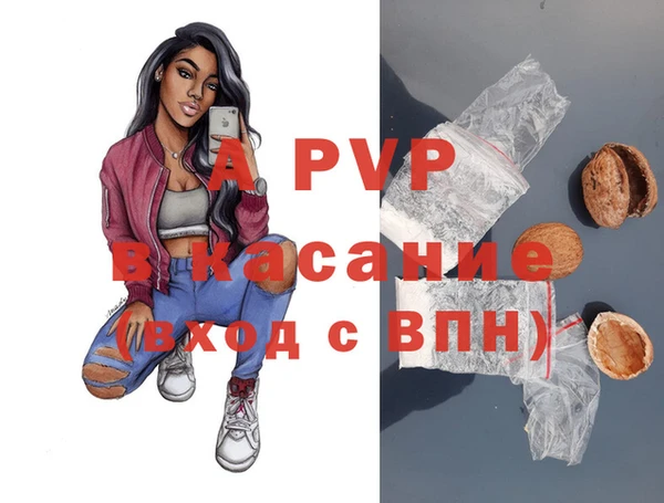 прущие грибы Абаза