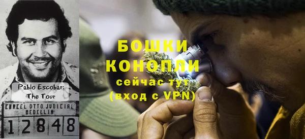прущие грибы Абаза
