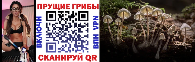 Галлюциногенные грибы MAGIC MUSHROOMS  Шарья 