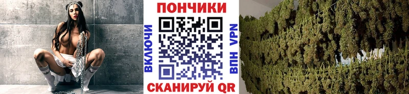 Каннабис VHQ что такое Шарья